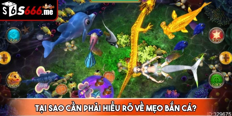 Tại sao cần phải hiểu rõ về mẹo bắn cá