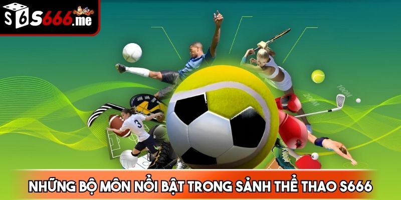 Quần vợt cũng là một lựa chọn tuyệt vời, không thể bỏ qua